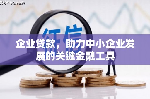 沙洋企业贷款，助力中小企业发展的关键金融工具