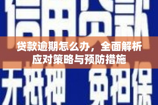 沙洋贷款逾期怎么办，全面解析应对策略与预防措施