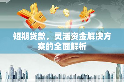 沙洋短期贷款，灵活资金解决方案的全面解析