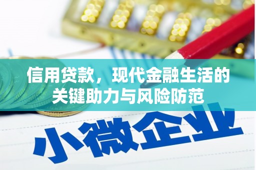 沙洋信用贷款，现代金融生活的关键助力与风险防范