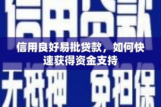 沙洋信用良好易批贷款，如何快速获得资金支持