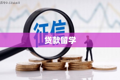 沙洋贷款留学