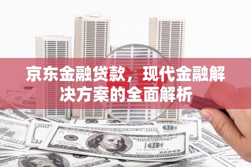 沙洋京东金融贷款，现代金融解决方案的全面解析