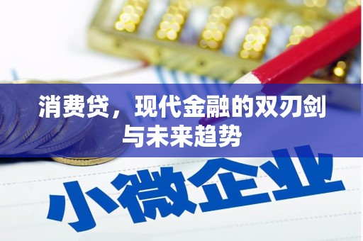 沙洋消费贷，现代金融的双刃剑与未来趋势