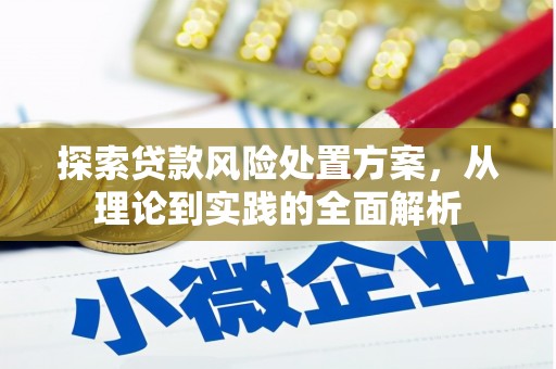 沙洋探索贷款风险处置方案，从理论到实践的全面解析