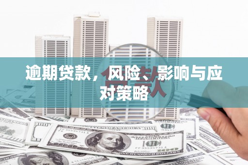 沙洋逾期贷款，风险、影响与应对策略