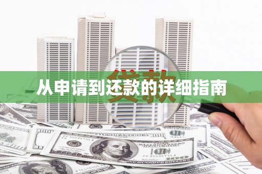 沙洋从申请到还款的详细指南