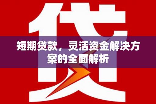 沙洋短期贷款，灵活资金解决方案的全面解析
