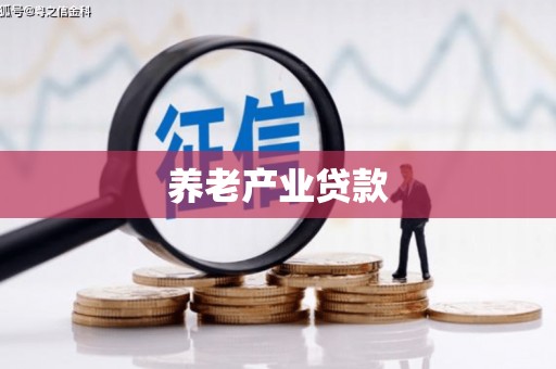 沙洋养老产业贷款