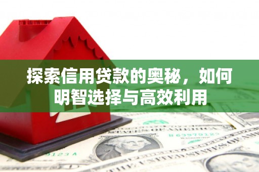 沙洋探索信用贷款的奥秘，如何明智选择与高效利用
