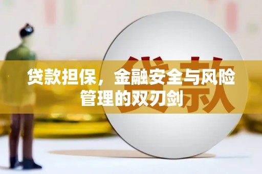 沙洋贷款担保，金融安全与风险管理的双刃剑