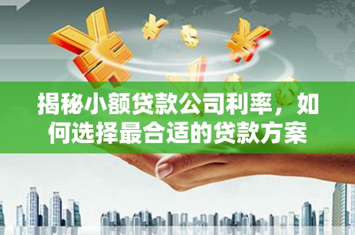 沙洋揭秘小额贷款公司利率，如何选择最合适的贷款方案