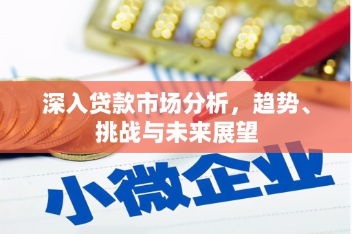 沙洋深入贷款市场分析，趋势、挑战与未来展望