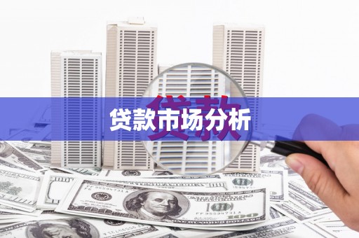 沙洋贷款市场分析