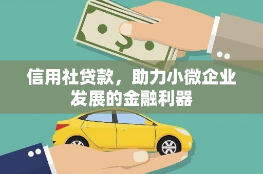 沙洋信用社贷款，助力小微企业发展的金融利器