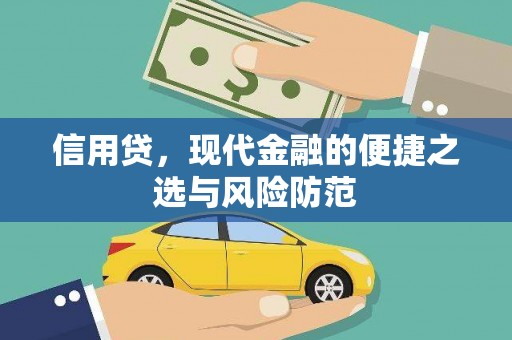 沙洋信用贷，现代金融的便捷之选与风险防范