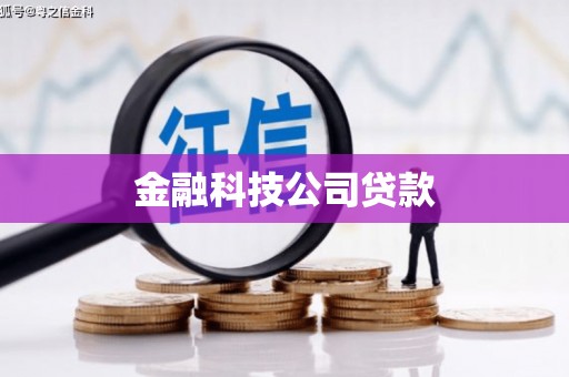 沙洋金融科技公司贷款