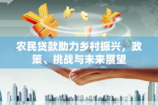 沙洋农民贷款助力乡村振兴，政策、挑战与未来展望