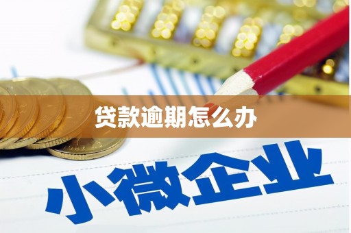 沙洋贷款逾期怎么办