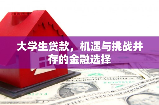 沙洋大学生贷款，机遇与挑战并存的金融选择