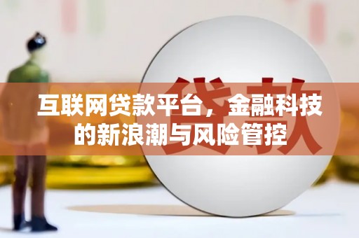 沙洋互联网贷款平台，金融科技的新浪潮与风险管控