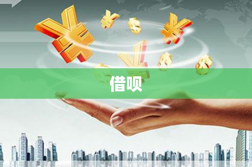 沙洋借呗