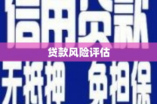 沙洋贷款风险评估