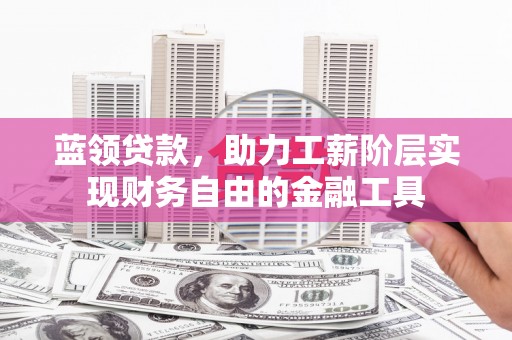 沙洋蓝领贷款，助力工薪阶层实现财务自由的金融工具