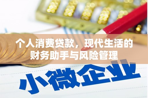 沙洋个人消费贷款，现代生活的财务助手与风险管理