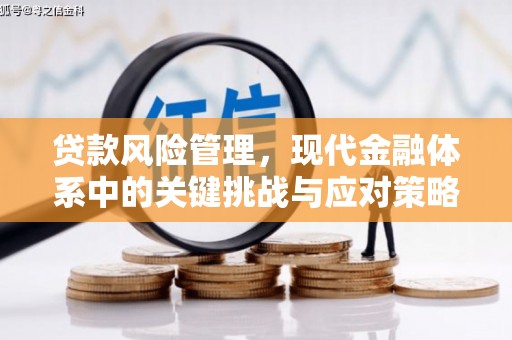 沙洋贷款风险管理，现代金融体系中的关键挑战与应对策略