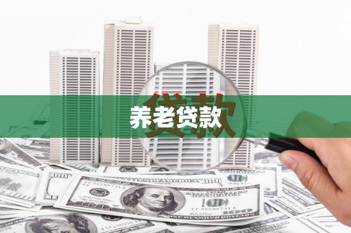 沙洋养老贷款