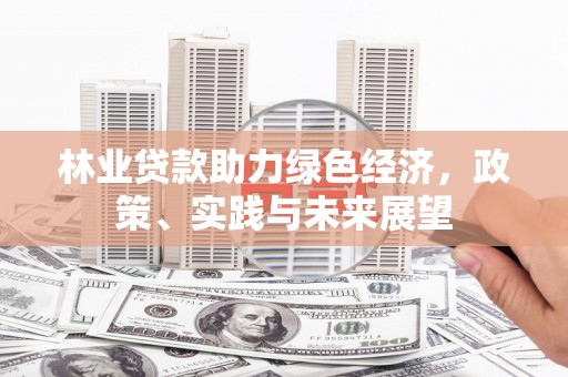 沙洋林业贷款助力绿色经济，政策、实践与未来展望