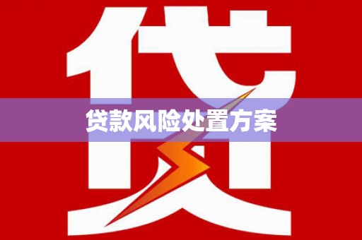沙洋贷款风险处置方案