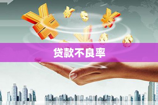 沙洋贷款不良率