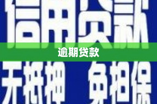 沙洋逾期贷款