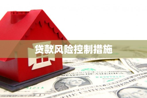 沙洋贷款风险控制措施