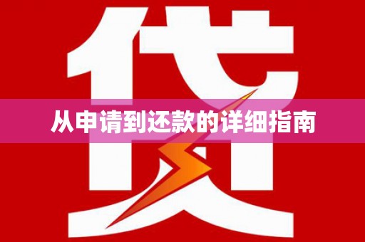 沙洋从申请到还款的详细指南