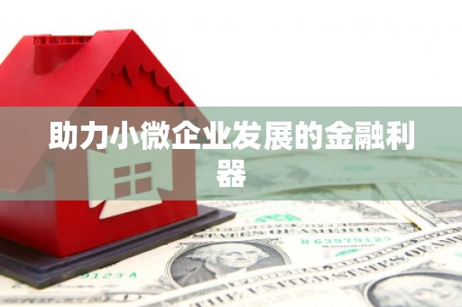 沙洋助力小微企业发展的金融利器