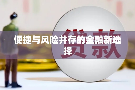 沙洋便捷与风险并存的金融新选择