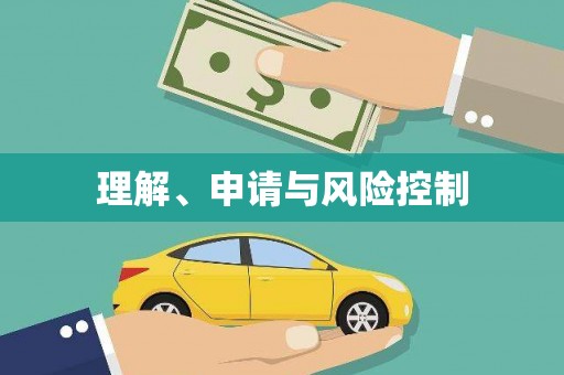 沙洋理解、申请与风险控制