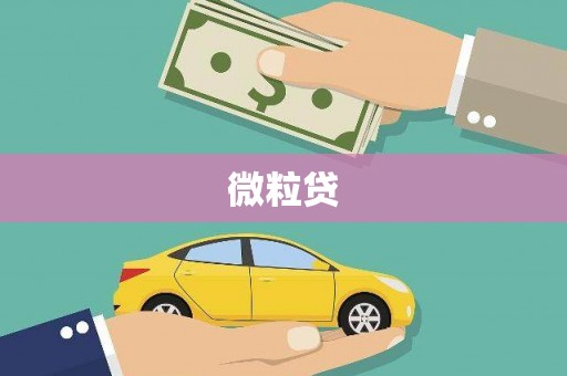 沙洋微粒贷