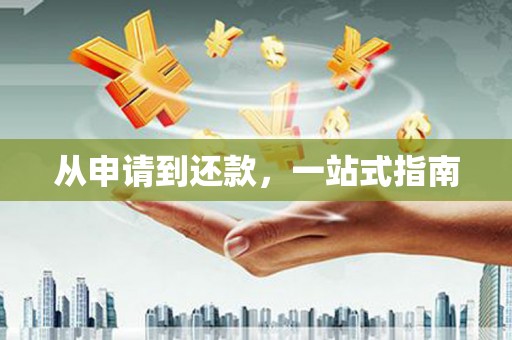 沙洋从申请到还款，一站式指南