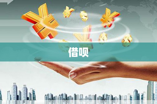 沙洋借呗