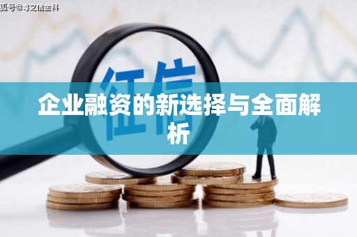 沙洋企业融资的新选择与全面解析