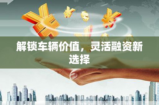 沙洋解锁车辆价值，灵活融资新选择