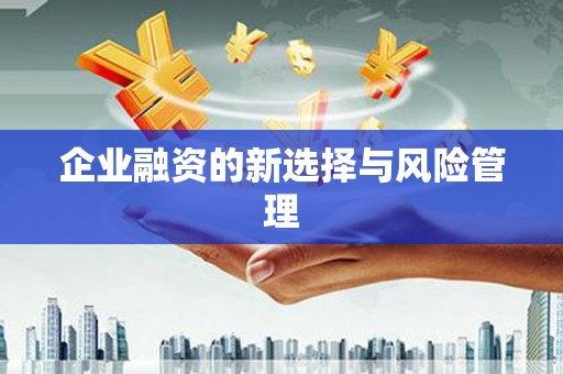 沙洋企业融资的新选择与风险管理
