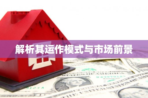 沙洋解析其运作模式与市场前景