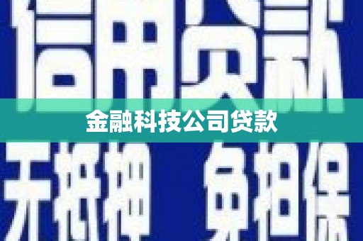 沙洋金融科技公司贷款