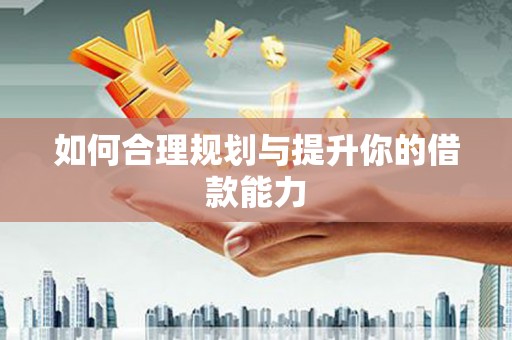 沙洋如何合理规划与提升你的借款能力