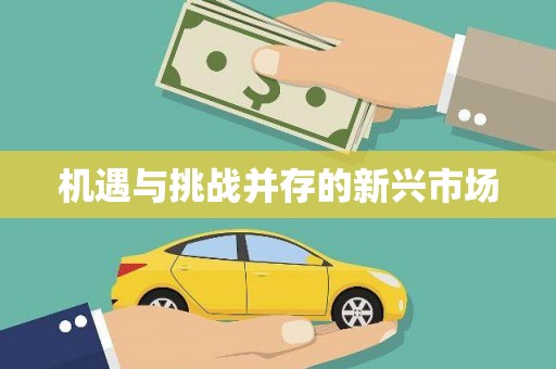 沙洋机遇与挑战并存的新兴市场